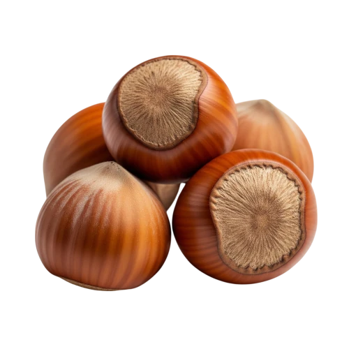 organic hazelnuts rich in protein, magnesium dhe omega 3