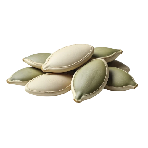 pumpkin seeds rich in protein, magneium dhe omega 3